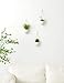 Mkono Ceramic Hanging Planter Modern Wall Flower Pot for Succulent Herb Air Plant Live or Faux Plants Home Decor, Set of 3thumb 2