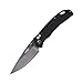 Firebird GANZO F7533 Pocket Folding Knife G-10 Handle with Clip 440C Stainless Steel Black Blade Hunting Fishing Camping Outdoor EDC Knife (Black)