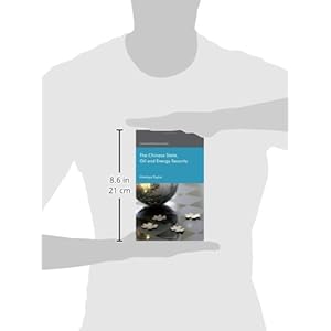 The Chinese State, Oil and Energy Security (International Political Economy Series)
