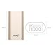 Power Bank HAME H16 11000mAh External Battery Pack Portable Phone Charger Compact Power Pack Metal Body 5V 2A In/Output Fast Charging for Smart Phone and Tablets (Gold)