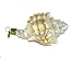 Old World Christmas Ornaments: Beach Shells Glass Blown Ornaments for Christmas Tree, Mexican Seashell