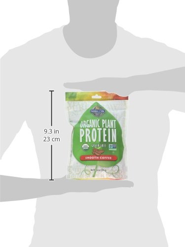 GARDEN OF LIFE ORGANIC PLANT PROTEIN SMOOTH COFFEE POWDER, 10 SERVINGS – VEGAN, GRAIN FREE & GLUTEN FREE PLANT BASED PROTEIN SHAKE WITH ARABICA COFFEE, 1 BILLION CFU PROBIOTICS & ENZYMES, 15G PROTEIN