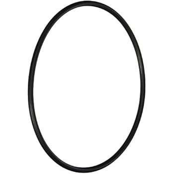 Hayward AXW542 O-Ring Replacement for Leaf Canisters Series W530 and W560