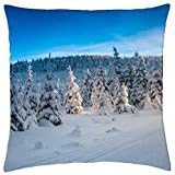 Frigid Winter Landscape - Throw Pillow Cover Case (18