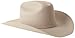 Stetson Men's Skyline Hat