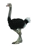 CollectA Ostrich Figure