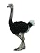 CollectA Ostrich Figure