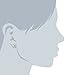 Amazon Collection Sterling Silver Round Cubic Zirconia Stud Earrings