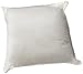 DreamHome Square Poly Pillow Insert, 18
