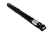 Prime Choice Auto Parts KS219-CST164 Set of 2 Struts and 2 Shock Absorbers