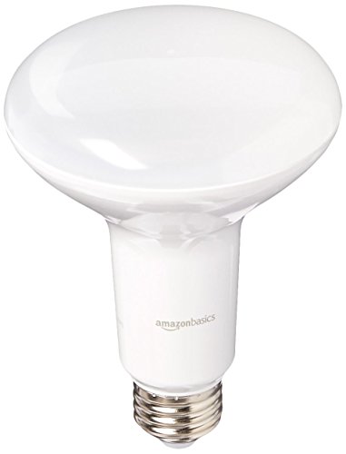 AmazonBasics 65 Watt Equivalent, Daylight, Dimmable, BR30 LED Light Bulb | 6-Pack