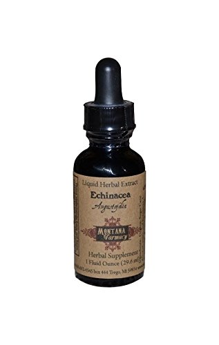 Echinacea Angustifolia Natural Extract Tincture Echinacea Angustifolia Natural Extract Tincture