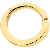 Pierced Owl 24KT Gold PVD ASTM F-136 Implant Grade Titanium Oval Shaped Hinged Segment Clicker Ring