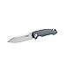 GANZO Firebird Pocket Folding Knife FH21 D2 Steel Blade G10 Handle with Clip Fishing Hunting Camping Outdoor EDC Knife (Grey)