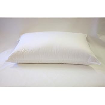 Amazon Com Eddie Bauer Luxury 700 Fill Power White Goose Down