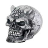Chrome Devil Skull Shift Knob For Car