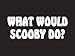 #161 What Would Scooby Doo? Bumper Sticker/Vinyl Decal