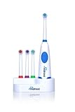 Wellness Oral Care Battery Powered Oscillating Family Electric Toothbrush with 4 Replacement Brush Heads, 2 AA Batteries and Countertop Holder