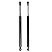 Maxpow Qty (2) Rear Glass Window Gas Charged Lift Support Struts Compatible With 2004 2005 2006 2007 2008 2009 2010 Volkswagen Touareg 6617