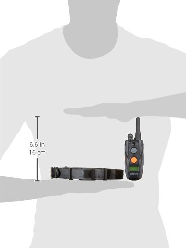 Dogtra ARC Remote Training Collar System, Black