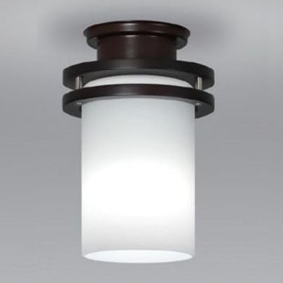 Amazon Nec Led小型シーリングライト 60w形相当 昼白色 引掛シーリングタイプ Sxm Len Necライティング シーリングライト