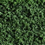 Woodland ScenicsT1366 Greening Material Foliage Material Conifer Dark Green Shaker Coarse Turf Conifer Dark