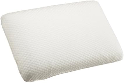 Amazon Com Sensorpedic Luxury Extraordinaire Pillow By Soft Tex