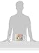 IRIS USA, Inc. 260300 Wire Pet Food Can Dispensers
