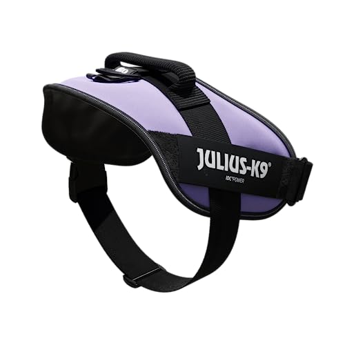 JULIUS-K9 IDC Powerharness, XL, no pull dog harness, Purple