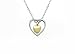 Double Heart Golden Cremation Urn Jewelry Necklace Pendant Funnel Fill Kit, Keepsake Memorial Ashes