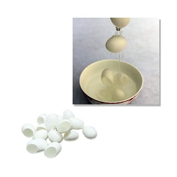 Lurrose Attrezzo 100pcs di cura di bellezza del dispositivo di rimozione dei punti neri delle punte della spazzola del… Lurrose Lurrose Attrezzo 100pcs di cura di bellezza del dispositivo di rimozione dei punti neri delle punte della spazzola del…