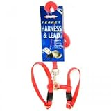 Ferret Harness/Lead Set Red