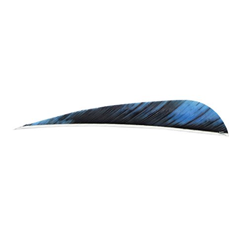 SAS 4-inch Parabolic RW Feather Fletching - 1 Dozen (12), Right Wing, Made In USA