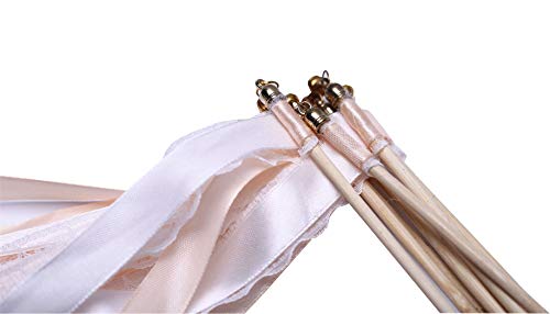 Wishprom 30pcs Lace Ribbon Wands Christmas Birthday Party Streamers Wands Fairy Stick for Wedding Activities (Peach+Lace)