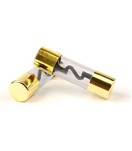 6 Stuks AGU 60A Zekeringen – 10x38 Mm – Verguld Glas – Voor 12-48V – Geschikt Voor Auto-audio, Versterkers, Boten En Doe-het-zelf Projecten