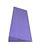 2″ X 6″ X 20″ Purple Foam Wedgethumb 1