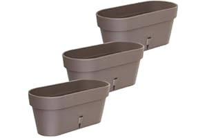 Gardenera 15.6" Latina Window Box Self Watering Planters (Set of 3) in Shade - Indoor/Outdoor Windowsill/Oblong Shape Plastic Planters (Set of 3) with Bottom Watering and Water Level Indicator