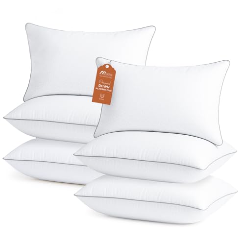 Sasttie King Size Pillows