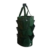 Jun Da 3 Gallons Strawberry Planting Grow Bags Wall Hanging Gardening Flower Planter Outdoor Indoor Gardening Vertical Greening Flower Container Garden Tool Kit (Green)