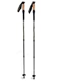 Mountainsmith Carbonlite Pro Trekking Poles, Slate