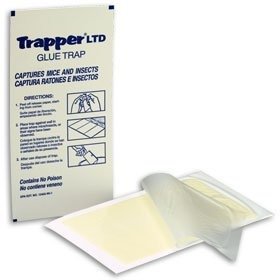 Trapper ltd mouse/insect glue boards - case (72 boards)