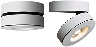 10W LED Spotlight 360°Adjustable Ceiling Downlight Surface Mounted COB Track Lighting LED Aluminum Wall Lamp Two in One Track Light or Spot Light