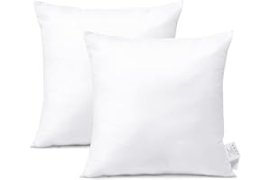 OTOSTAR 20x20Inch Throw Pillow Inserts, Set of 2 Square Form Cushion Stuffers for Couch, Sofa, Bed - Indoor Decorative Pillows Inserts