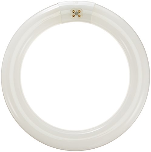 Bulbrite FC8T9CW 22-Watt Circline Fluorescent T9 Bulb, 4100-Kelvin, G10q Base, 8-Inch Diameter