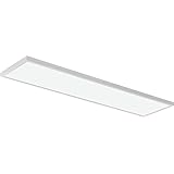 Lithonia Lighting CPANL 1x4 LED Flat Panel Light, 1