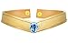 DAZCOS Women's Headband Cosplay Tiara Queen Headwear Props Resin