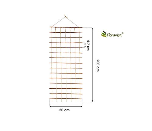 Floranica Rankhilfe Rankgitter für Kletterpflanzen Länge 150cm Breite 50cm Naturweide Ökologische Schnur und Jutesack… – Bild 3