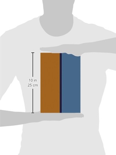 Biblia paralela RVR 1960/NVI (Spanish Edition)