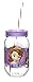 Zak! Designs Tritan Mason Jar Tumbler with Screw-on Lid and Straw featuring Sofia the First Graphics, Break-resistant and BPA-free Plastic, 19 oz.