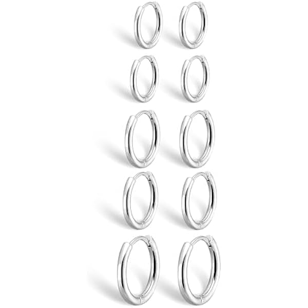 Amazon.com: Surgical Stainless Steel Hoop Earrings - Endless